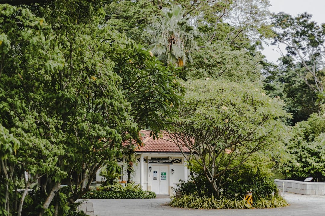Landed home set within mature greenery, evoking the leafy character of Lucky Heights