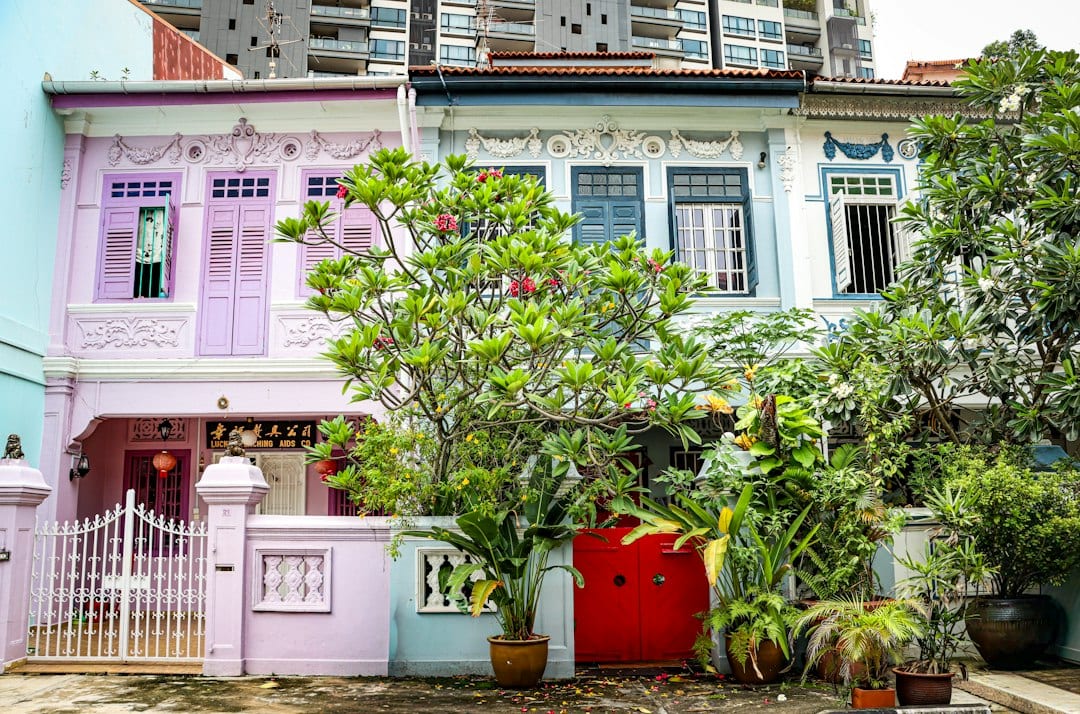 Landed terrace homes along a quiet District 16 street