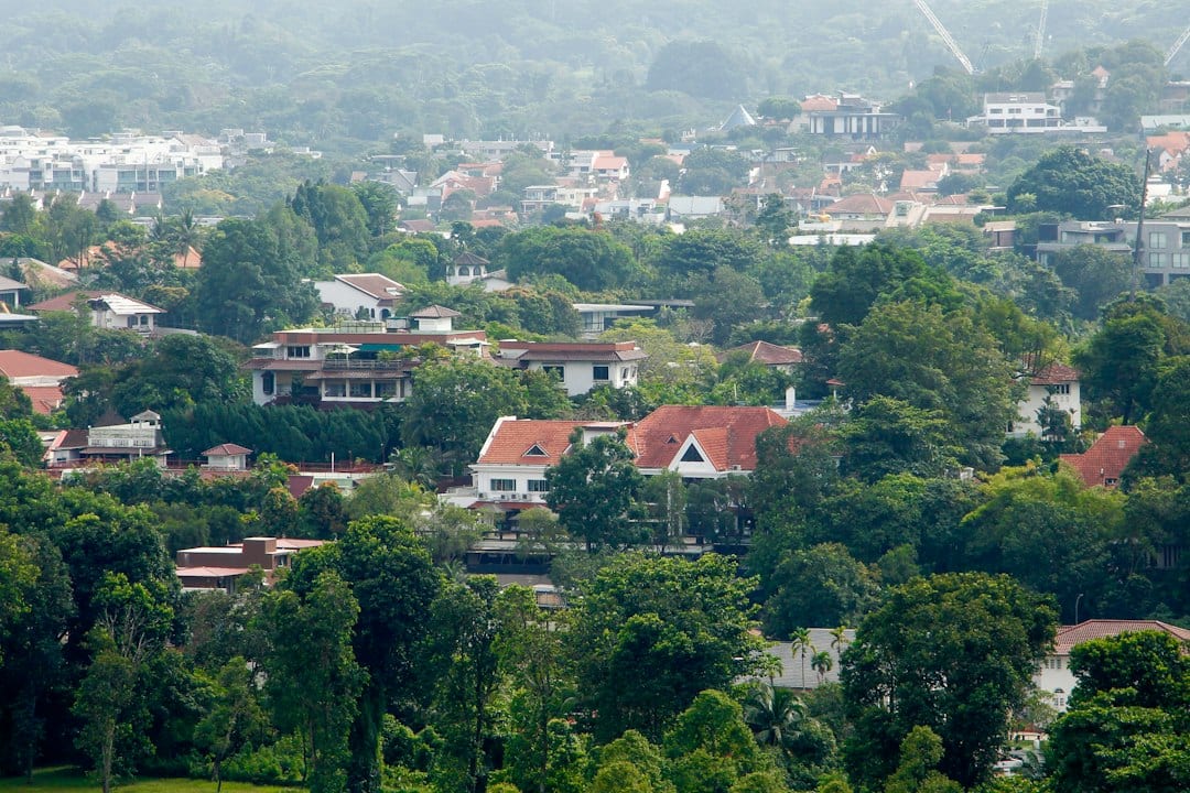 Houses set among mature trees on a quiet residential street, representative of Lucky Heights